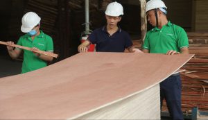 Common risks in doing plywood business with Vietnam and how to avoid it